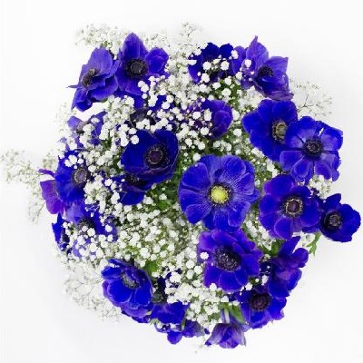 1 Basic-Strauß bei Blumeo mit 10€ Gutschein für nur 9,94€