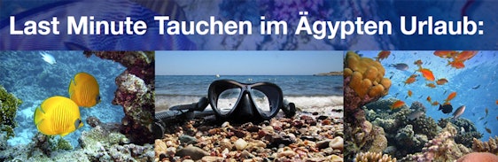 Last Minute Tauchen im Ägypten Urlaub ab 310€: 1 Woche im 4*Hotel inkl. Halbpension, Transfer und Flügen
