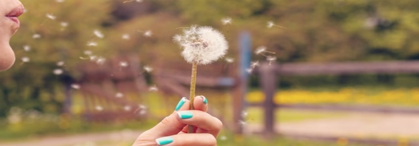 Luftreiniger gegen Pollen