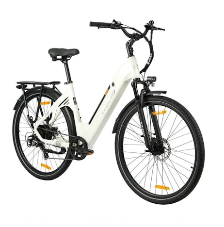 TTGO 28'' Elektrofahrrad 250W 36V 18Ah
