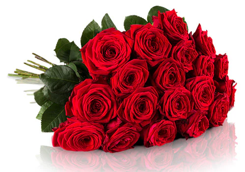 20 rote Rosen + Piccolo Sekt für 20€ bei Miflora - Red Naomi