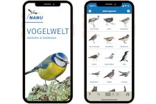 nabu-app-vogelwelt-kostenlos