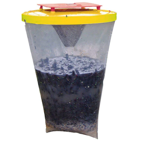 Toxic Fliegenfalle - 4.88 €