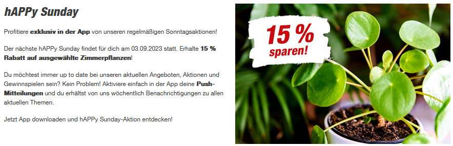 15% Rabatt zum hAPPy Sunday bei toom - heute: auf ausgewählte Zimmerpflanzen
