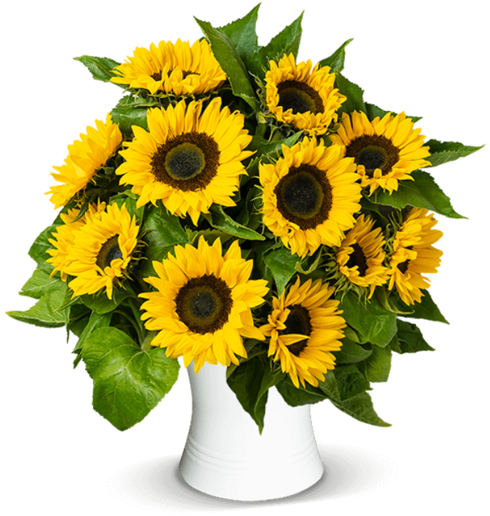 Sommerblüten "16 Sonnenblumen" für 25€ – 50cm Länge, große Blütenköpfe