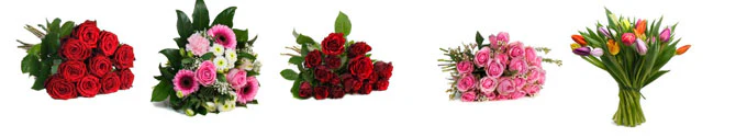 Blumeideal-Valentinstag