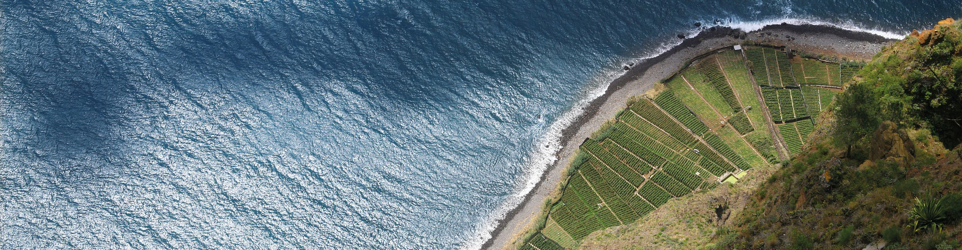 Madeira Urlaub günstig buchen » Die besten Schnäppchen