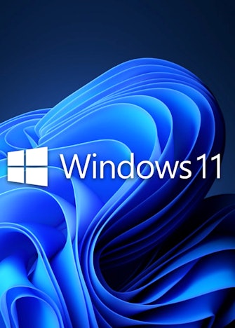 Windows 11 pro oem key für 24€