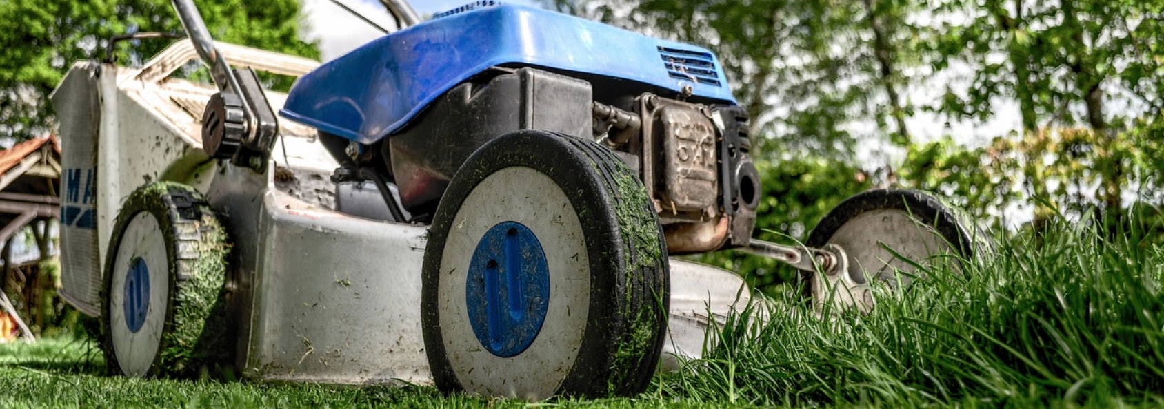 Wasser-Sparen-Garten2 Wasser-Sparen-Garten2