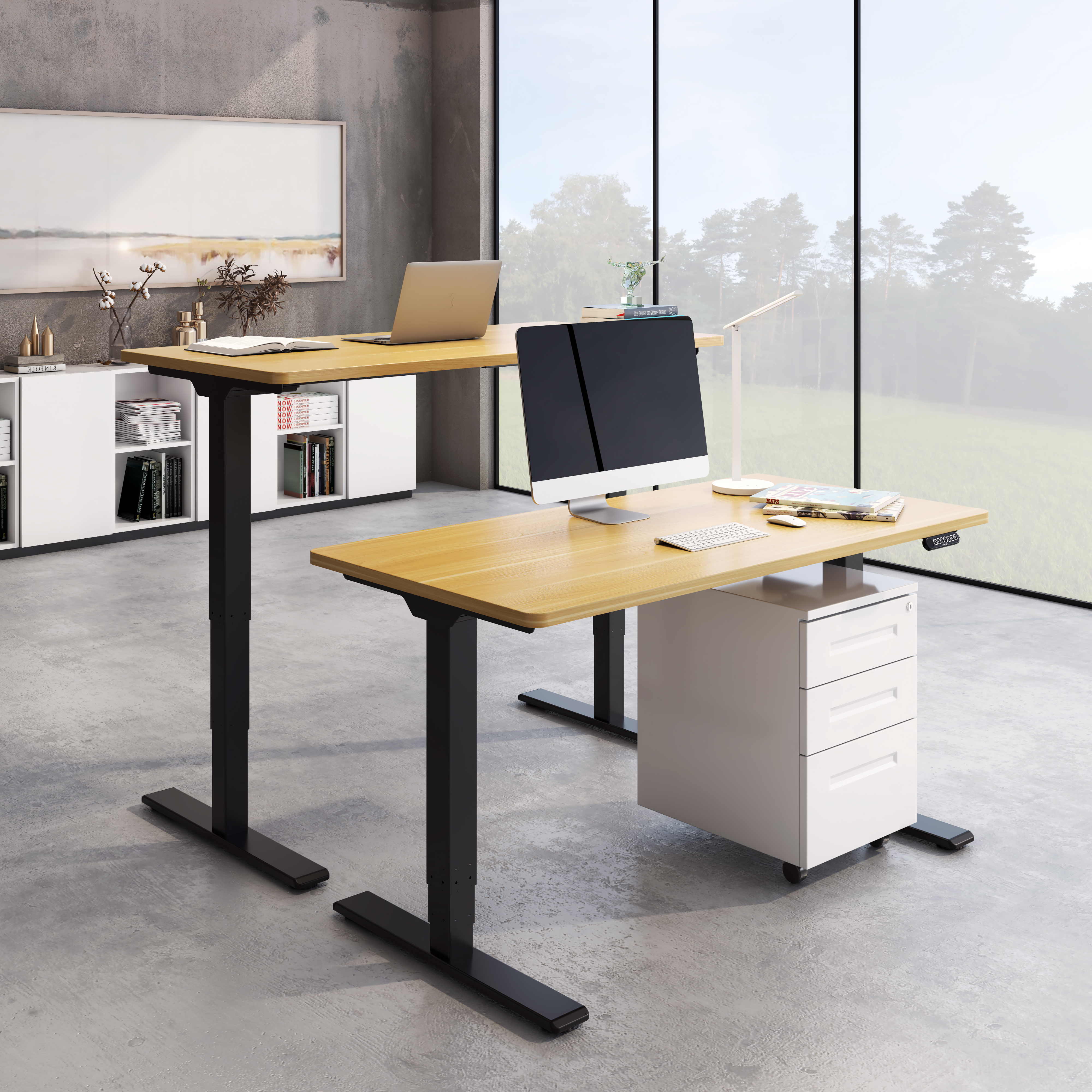 ERGOFINO DT20 HÖHENVERSTELLBARER SCHREIBTISCH DT20+TISCHPLATTE