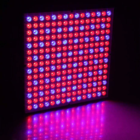 15W/45W LED Pflanzenleuchte (Gutschein) - 2 Modelle
