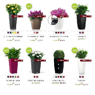 SALE: Lechuza Pflanzgefäße