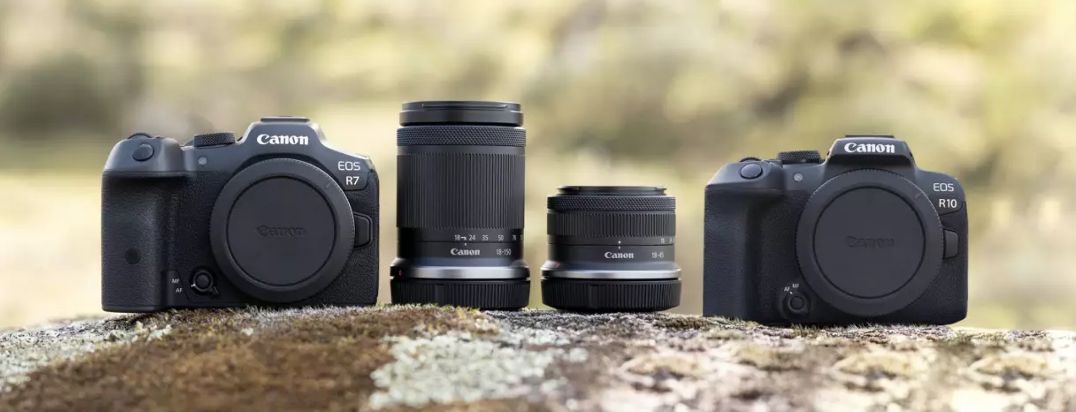 Canon EOS R7 und R10 – Spiegelloser Einstieg in die APS-C-Klasse