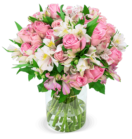 Rosenarrangement "Sweet Surprise" für 26€ – mit 100 Blüten, 7-Tage-Frischegarantie