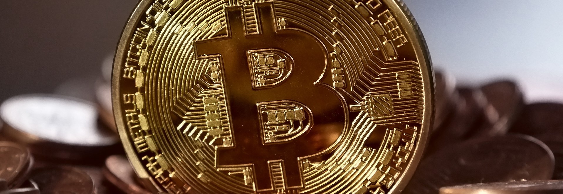 Ab sofort auch mit Bitcoin » Neue Paypal-Zahlungsfunktion in den USA