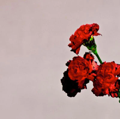 John-legend+