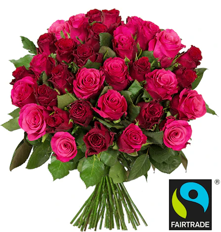 Blumenstrauß “Romantic Roses” mit 41 pinken und roten Rosen für 24,98€