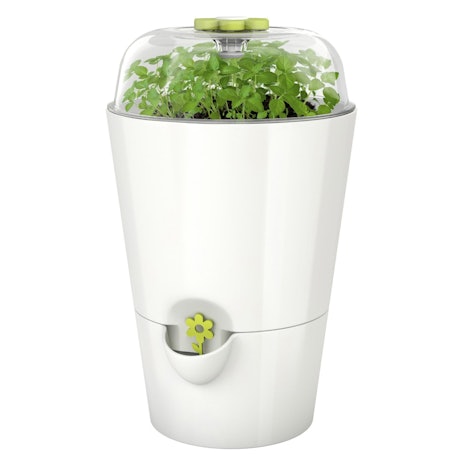 Emsa 515565 Kräutertopf Fresh Herbs Grow, weiß für 11,03€