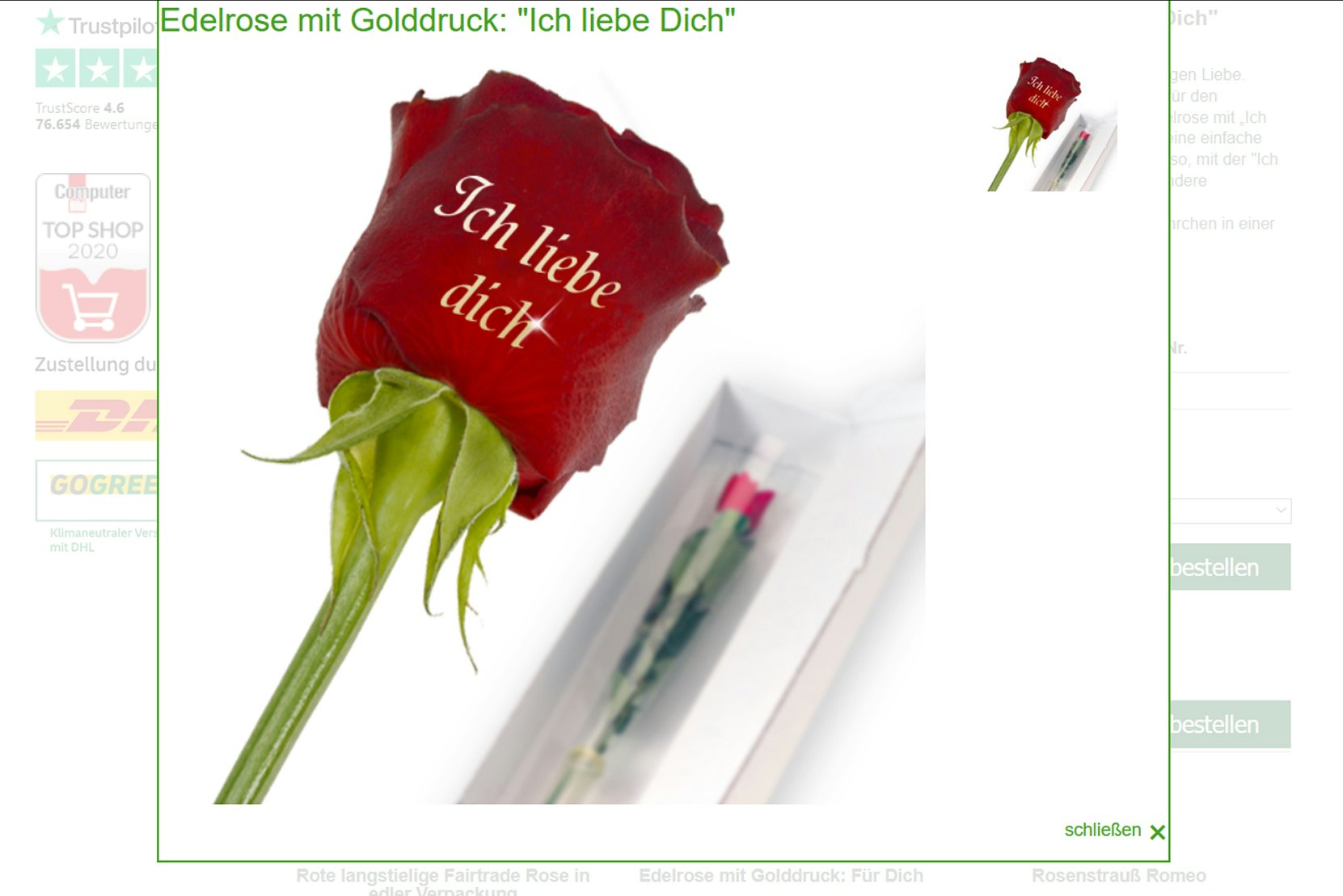 FloraPrima Rose Liebe