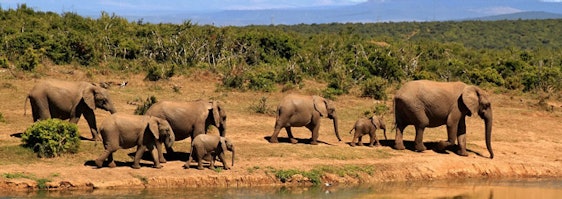 Südafrika: Flüge aus Deutschland nach Johannesburg ab 400€ aus München & 375€ aus Zürich