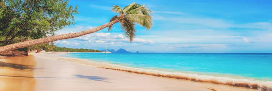 Cyber Days bei AIDA: 5 Kreuzfahrten inkl. Flügen & Vollpension ab 749€/Person