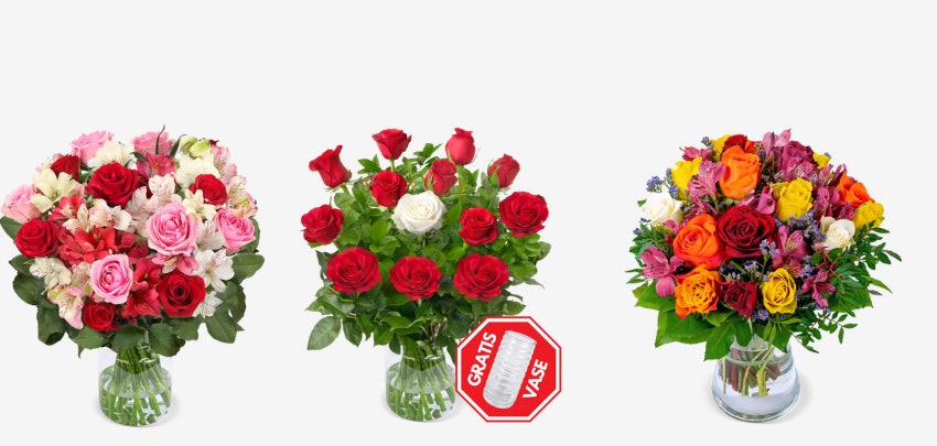 BlumeIdeal-Valentinstag-14--Rabatt-Beispiele BlumeIdeal-Valentinstag-14--Rabatt-Beispiele
