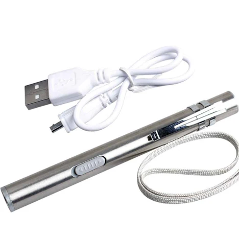 Edelstahl USB aufladbare Mini-Taschenlampe handliche LED Taschenlampe Pen Licht mit Clip