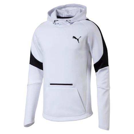 PUMA Evostripe Move Herren Hoodie