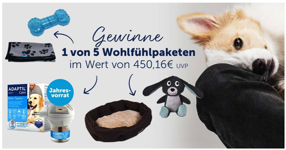Gewinne ein Wohlfühlpaket von ADAPTIL &amp; ZooRoyal