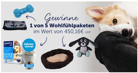Gewinne ein Wohlfühlpaket von ADAPTIL & ZooRoyal