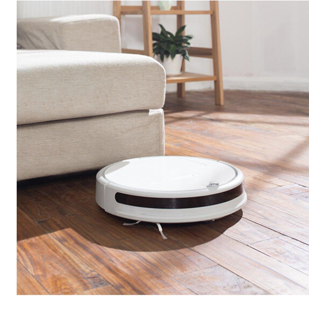 Xiaomi Roborock Xiaowa E20 Roboterstaubsauger
