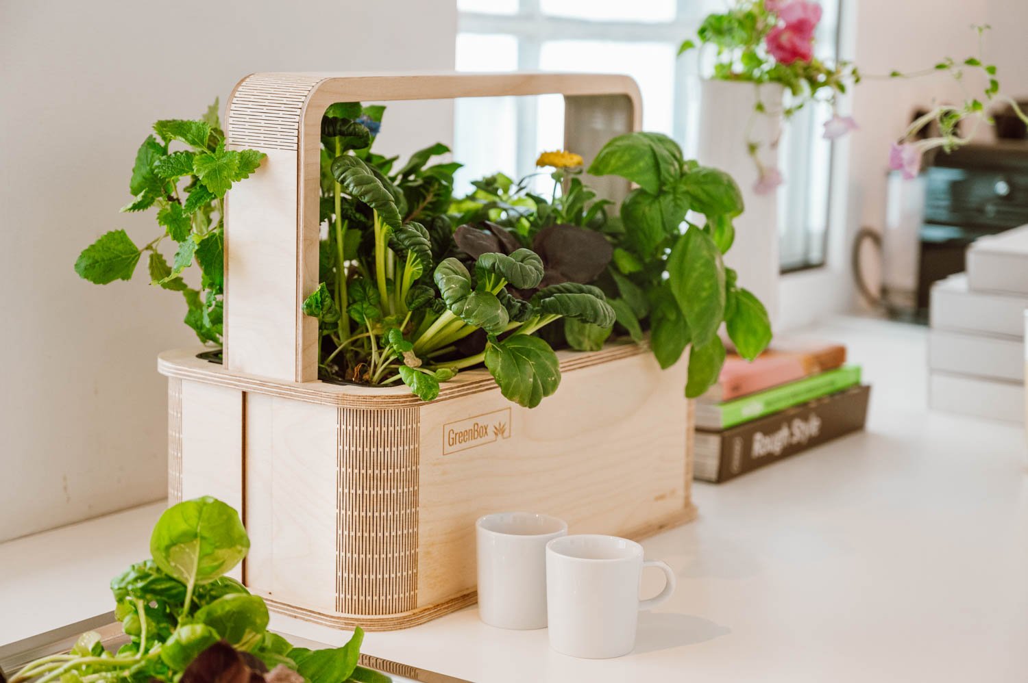 Die Greenbox von BerlinGreen -- der Smarte Indoor Garden für das ganze Jahr