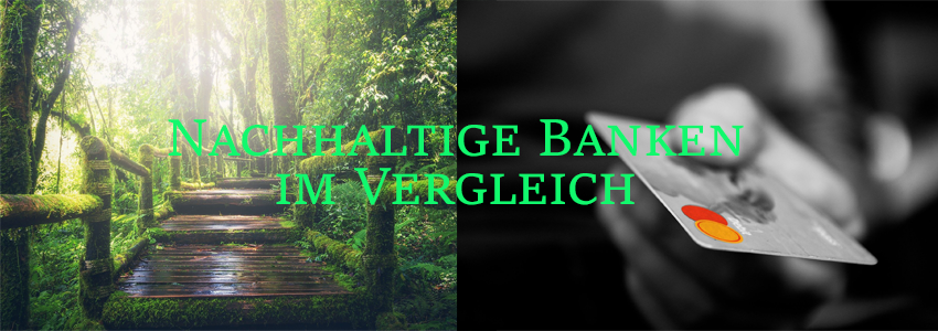 Lohnt sich der Wechsel? 🌳 » Nachhaltige Banken im Überblick