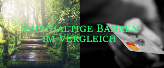 Lohnt sich der Wechsel? 🌳 » Nachhaltige Banken im Überblick