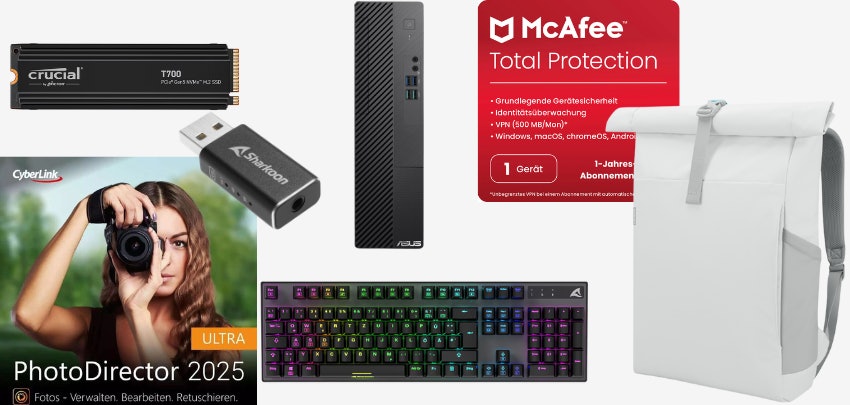 nbb-work-hard-play-hard--1-