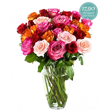 Miflora 30 Rosen - Rainbow für 17,90€