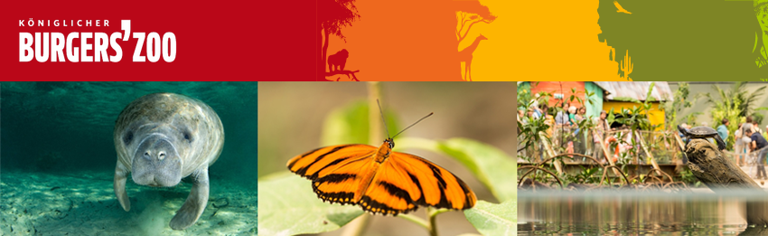 Tageskarte für den königlichen Burgers' Zoo in Arnheim für 16€ - gültig bis Ende September 2018