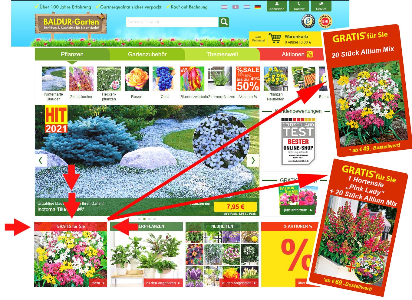 BALDUR-Garten Gratis-Geschenke