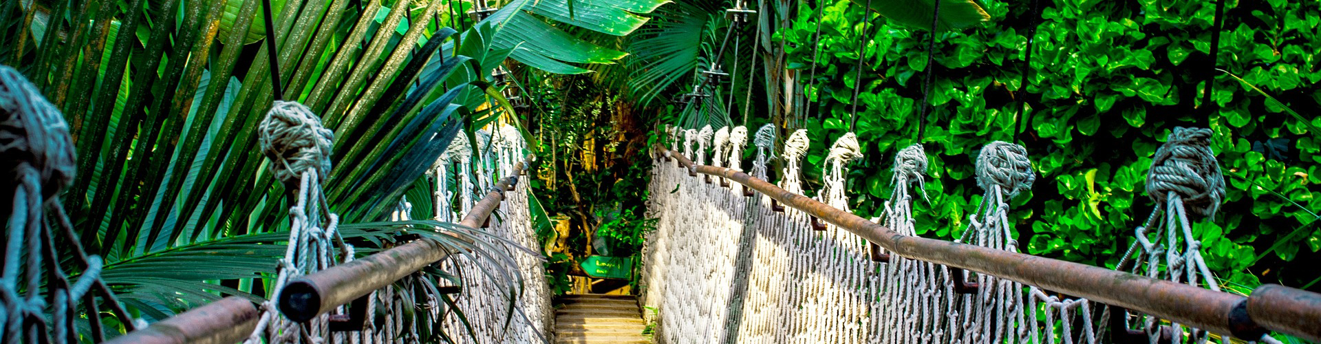 Tropical Island Angebote » Die besten Schnäppchen für den Badespaß bei Berlin