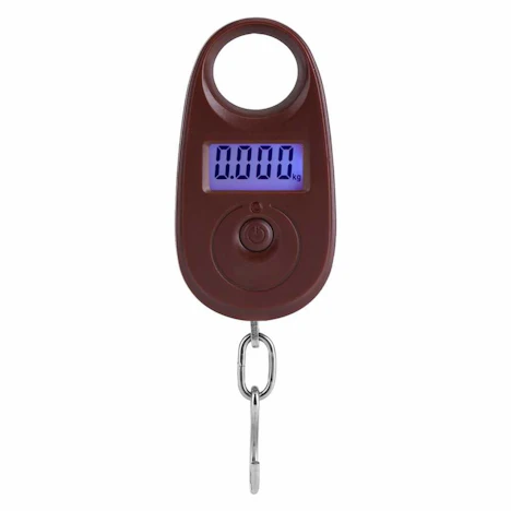 25kg * 5g Mini Digitalwaage Elektronische Hanging Gepäck-Skala Genaue Fischen-Tasche wiegende Skala LCD-Anzeige