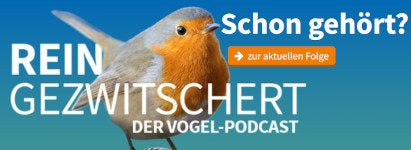 reingezwitschert-nabu-podcast