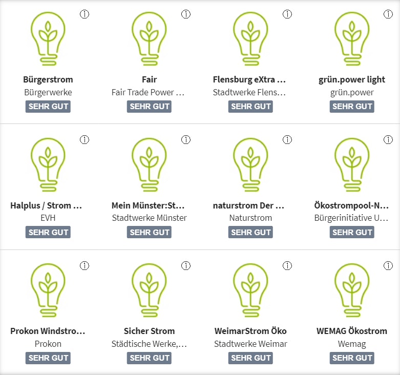 Ökostromanbieter-Test