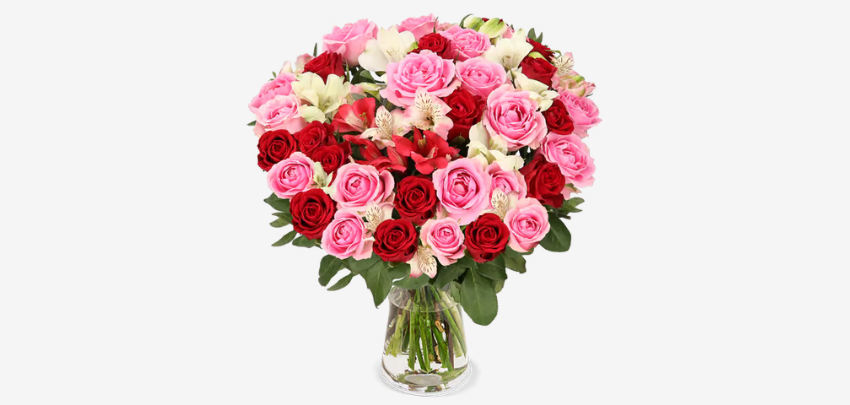 Für dich, einfach so! 💖 Rosenwunder für 27€ - 18 Rosen, 8 Inkalilien, 4 Pistacia, bis zu 60 Blüten