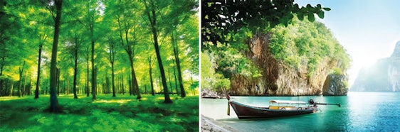 Fototapeten 210 x 140 cm ab 9€ bei Amazon