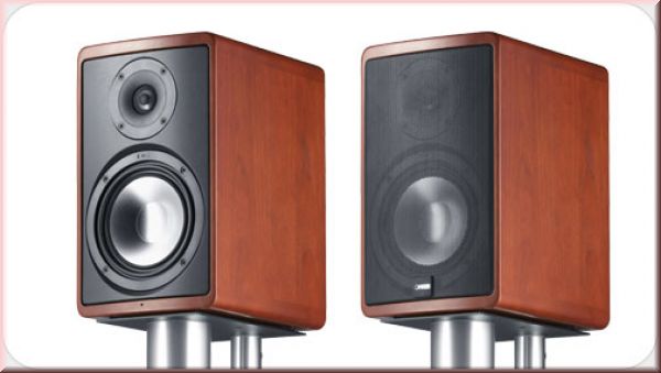 Boxen Paar: Canton Ergo 620 wenge braun für 504€