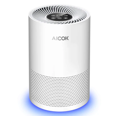 2 in 1 Air Purifier mit Filtration 4-Takt Fest Zeiteinstellung für 59,99€
