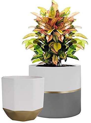 33% Off La Jolíe Muse Blumentöpfe, Übertöpfe Keramik 2er Set, Klassisches Design Weiß &amp; Gold, Rund &amp; Achteckig Ø16.5 x H15 cm für Innen